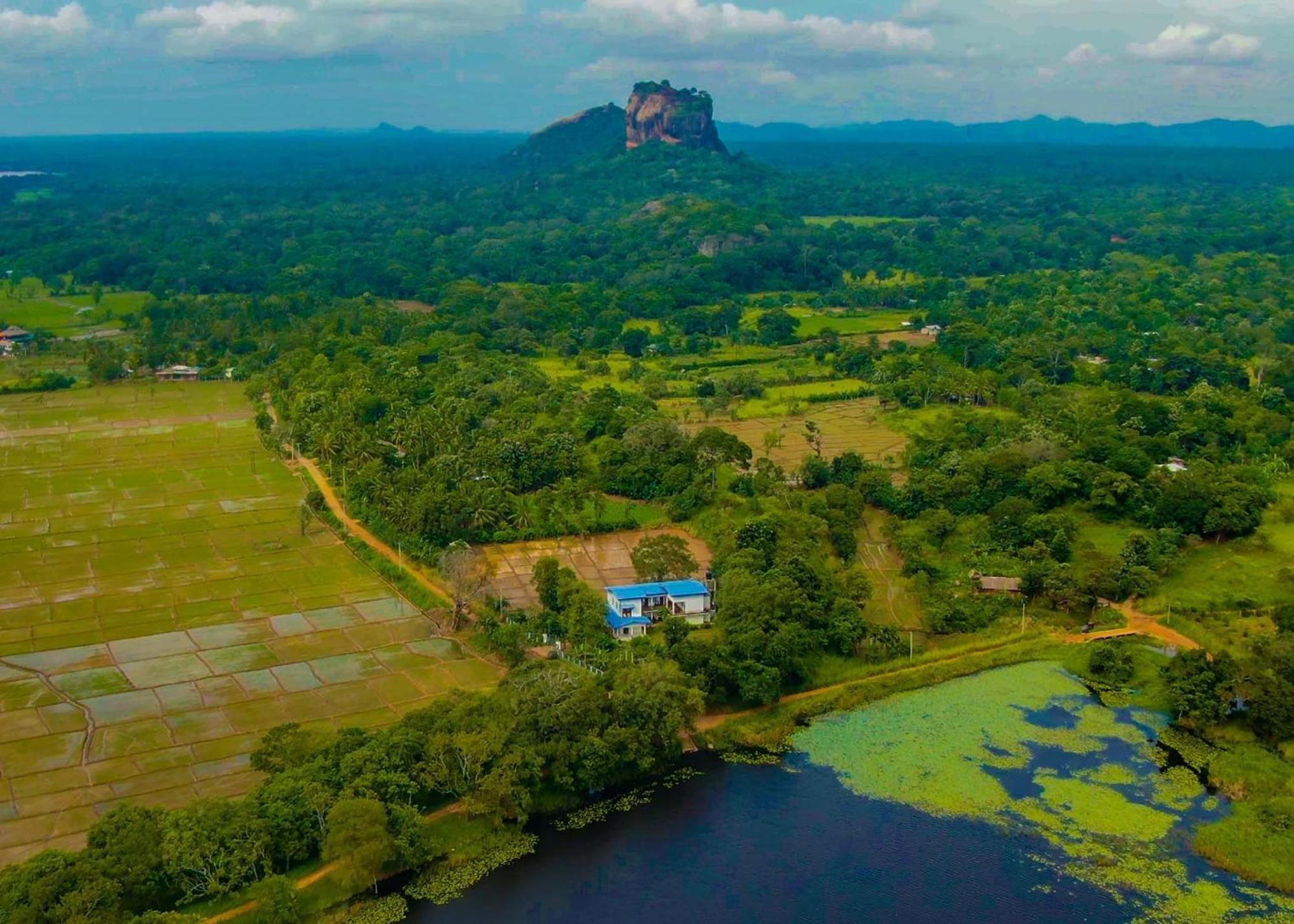 Bungalow Resort - Sigiriya Exterior foto